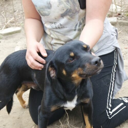 wili_2023-11-09_13