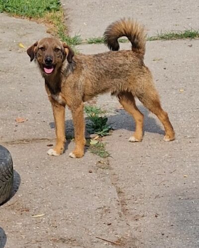 Moritz