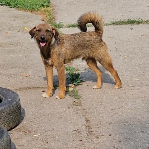 Moritz1 (2)