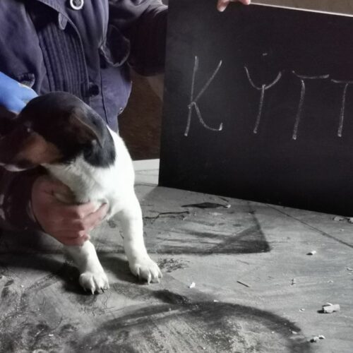 kytty_2024-02-21_01