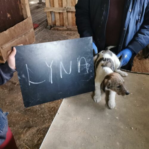 lyna_2024-02-21_01