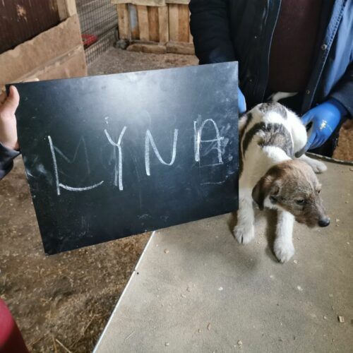 lyna_2024-02-21_02