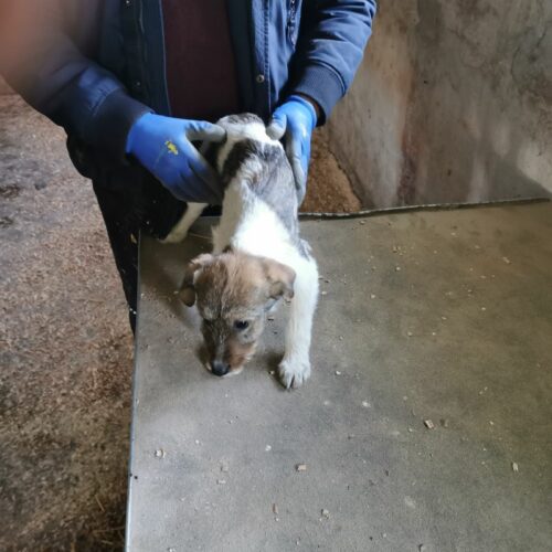 lyna_2024-02-21_20
