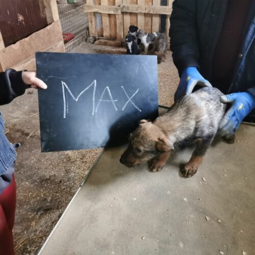 max_2024-02-21_01