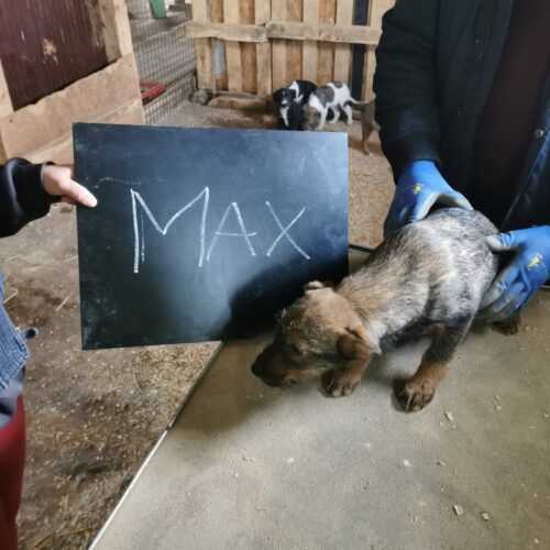 max_2024-02-21_02