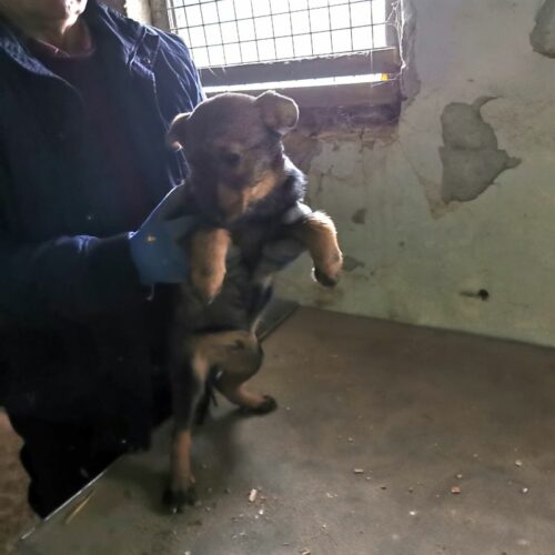 max_2024-02-21_10