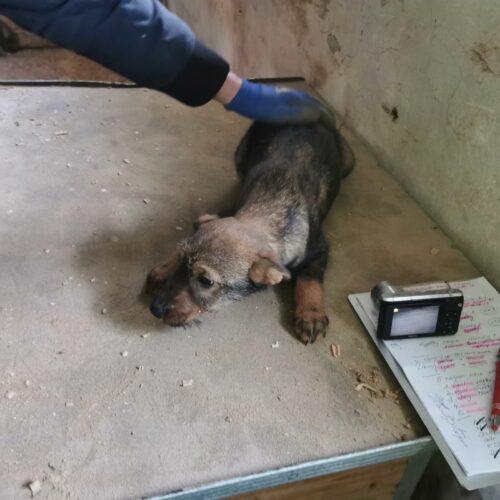 max_2024-02-21_19