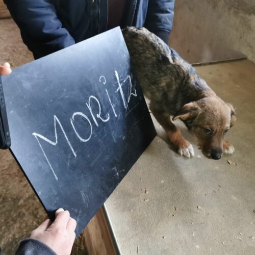 moritz_2024-02-21_02