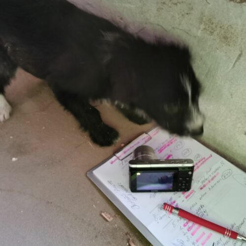 susy_2024-02-21_13
