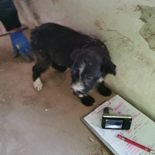 susy_2024-02-21_14