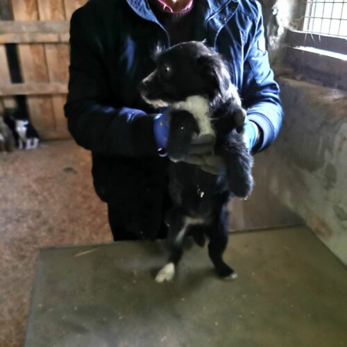 susy_2024-02-21_22