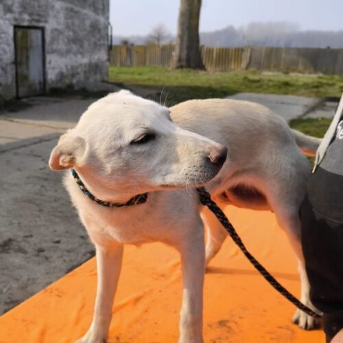 klaudia_2025-03-12_13