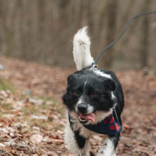 leyla_2025-03-12_05