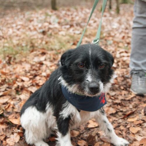 leyla_2025-03-12_07