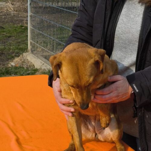 lili_2025-03-12_11