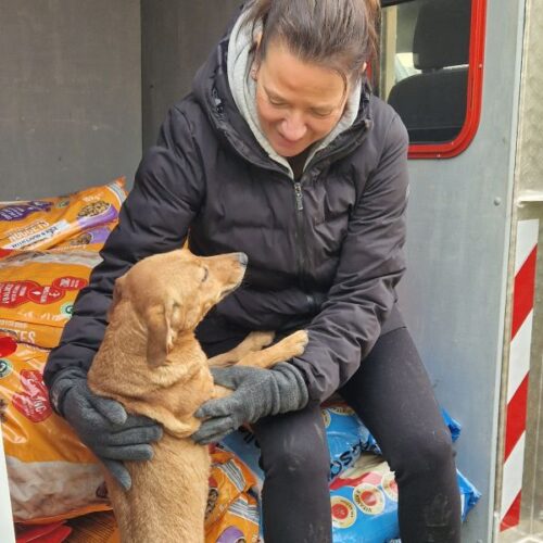 lili_2025-03-12_14