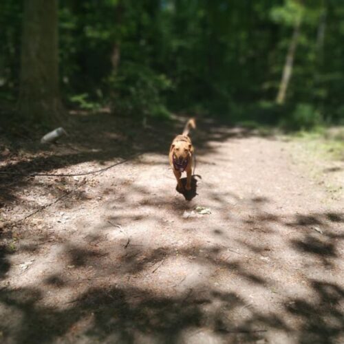lili_2025-06-08_08