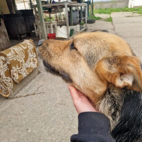rebeka_2025-06-08_03