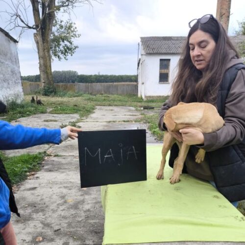 maja_2025-10-08_50