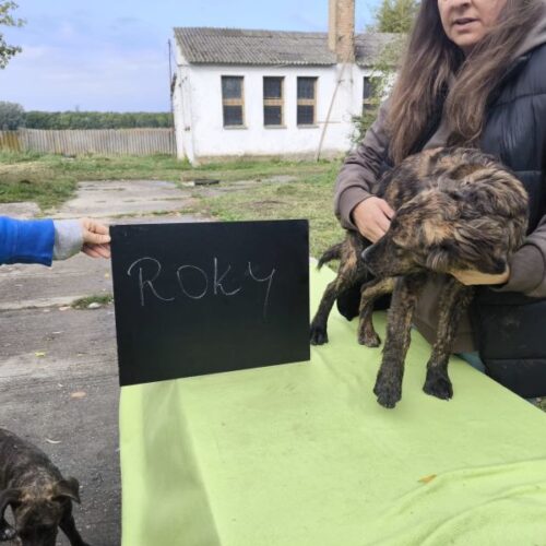 roky_2025-10-08_29