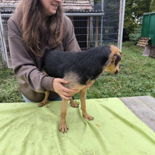 toehoetoem_2025-10-08_01