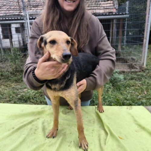 toehoetoem_2025-10-08_02