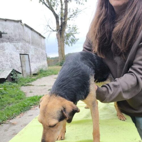 toehoetoem_2025-10-08_03