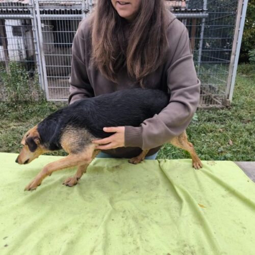 toehoetoem_2025-10-08_04