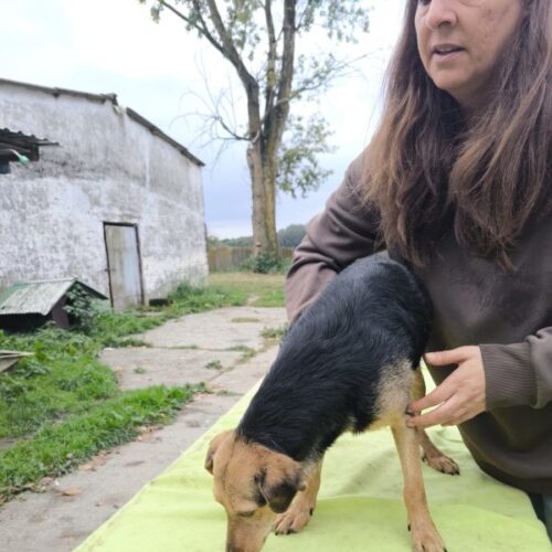 toehoetoem_2025-10-08_05