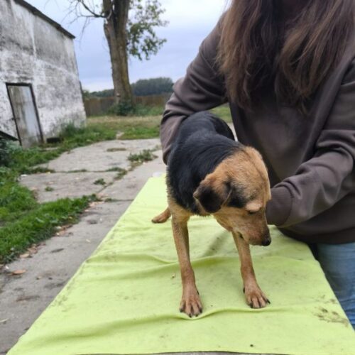 toehoetoem_2025-10-08_06