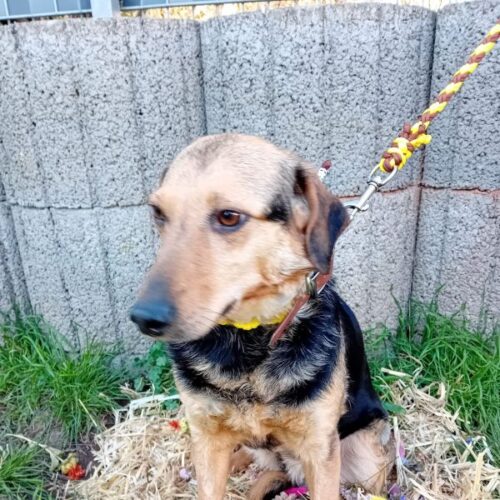 cassie_2026-03-04_03