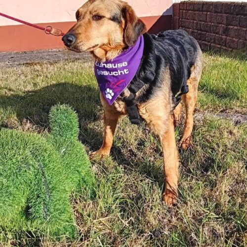 cassie_2026-03-04_06