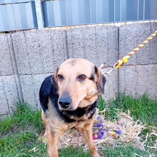 cassie_2026-03-04_07