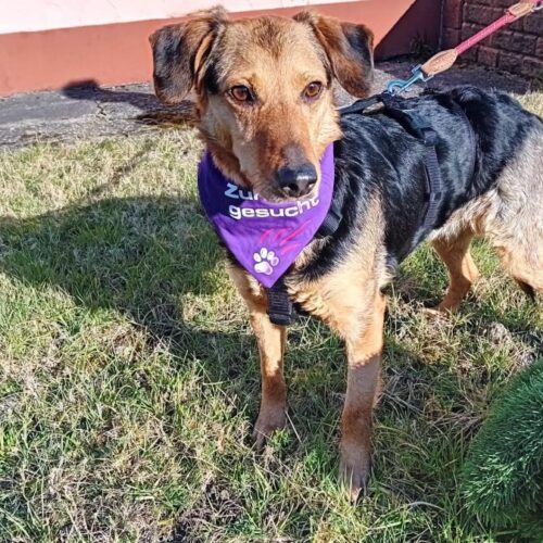 cassie_2026-03-04_10