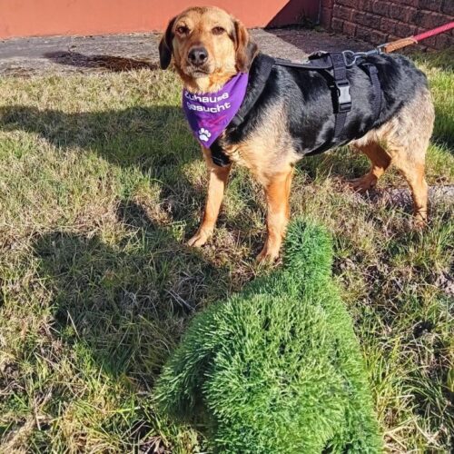 cassie_2026-03-04_11