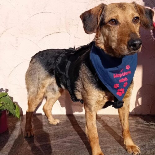 cassie_2026-03-04_12