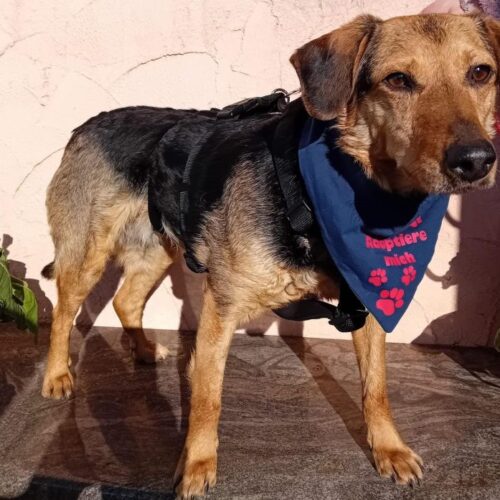 cassie_2026-03-04_14