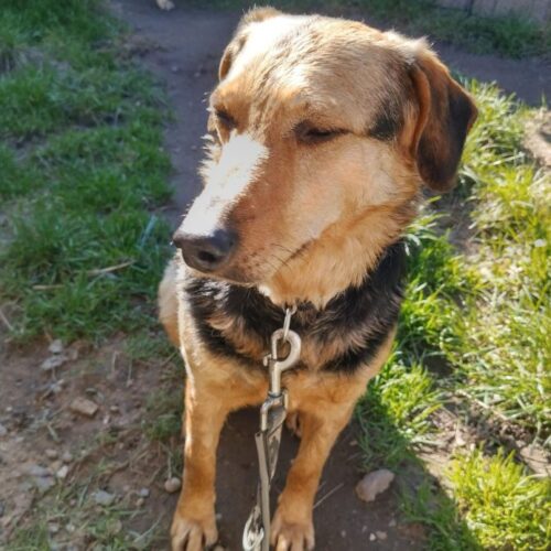 cassie_2026-03-04_17