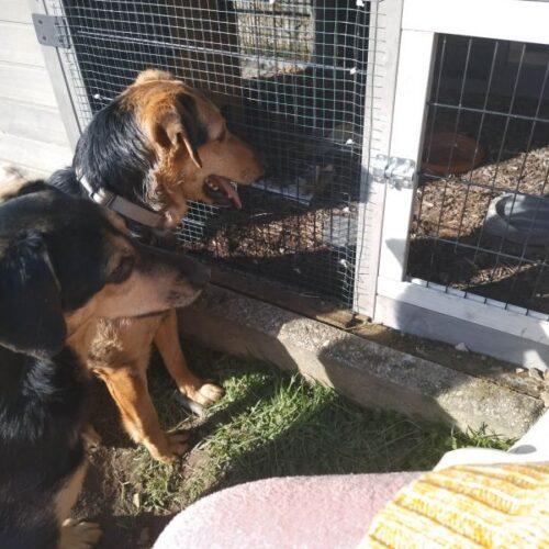 cassie_2026-03-04_18