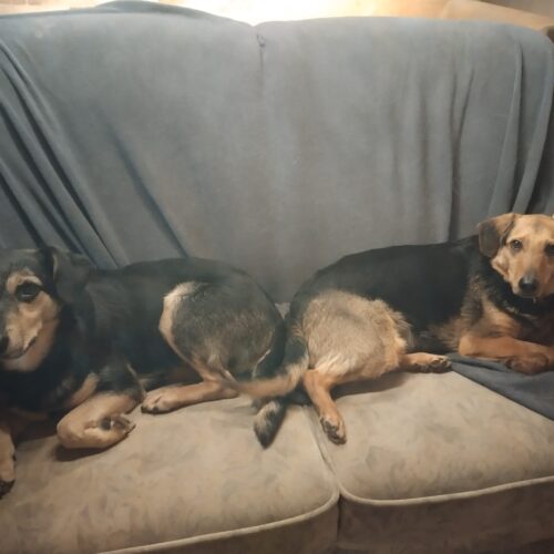cassie_2026-03-04_19