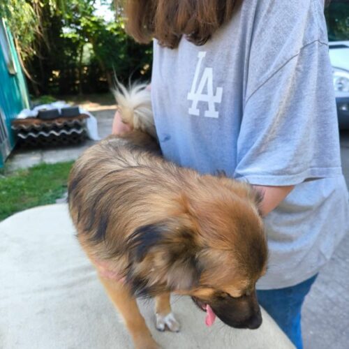 bobo_2026-06-28_09