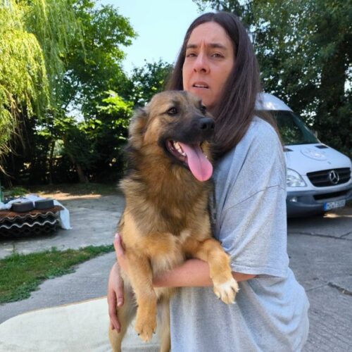 bobo_2026-06-28_15