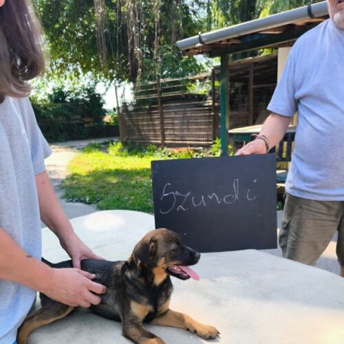 szundi_2026-06-28_01