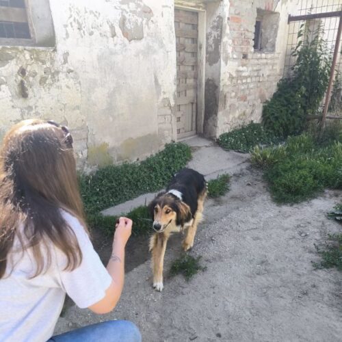 teo_2026-06-28_14
