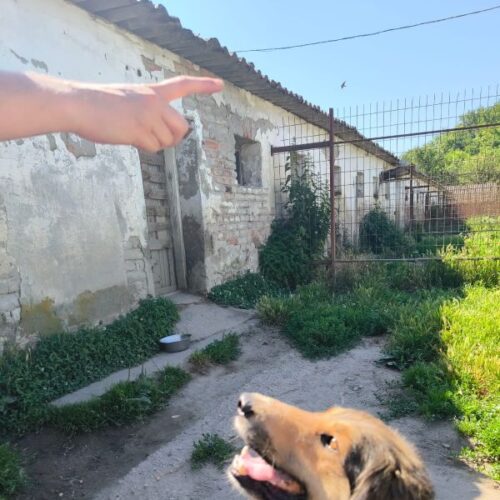 teo_2026-06-28_20